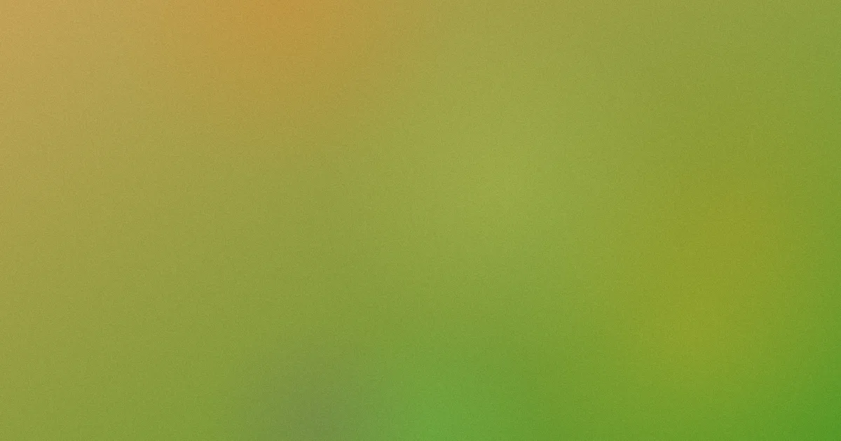 贾冰个人简历推荐：新手这样看
